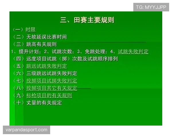 门线判定规则详解:进球有效与否的关键裁判标准 门线判定规则详解:进球有效与否的关键裁判标准